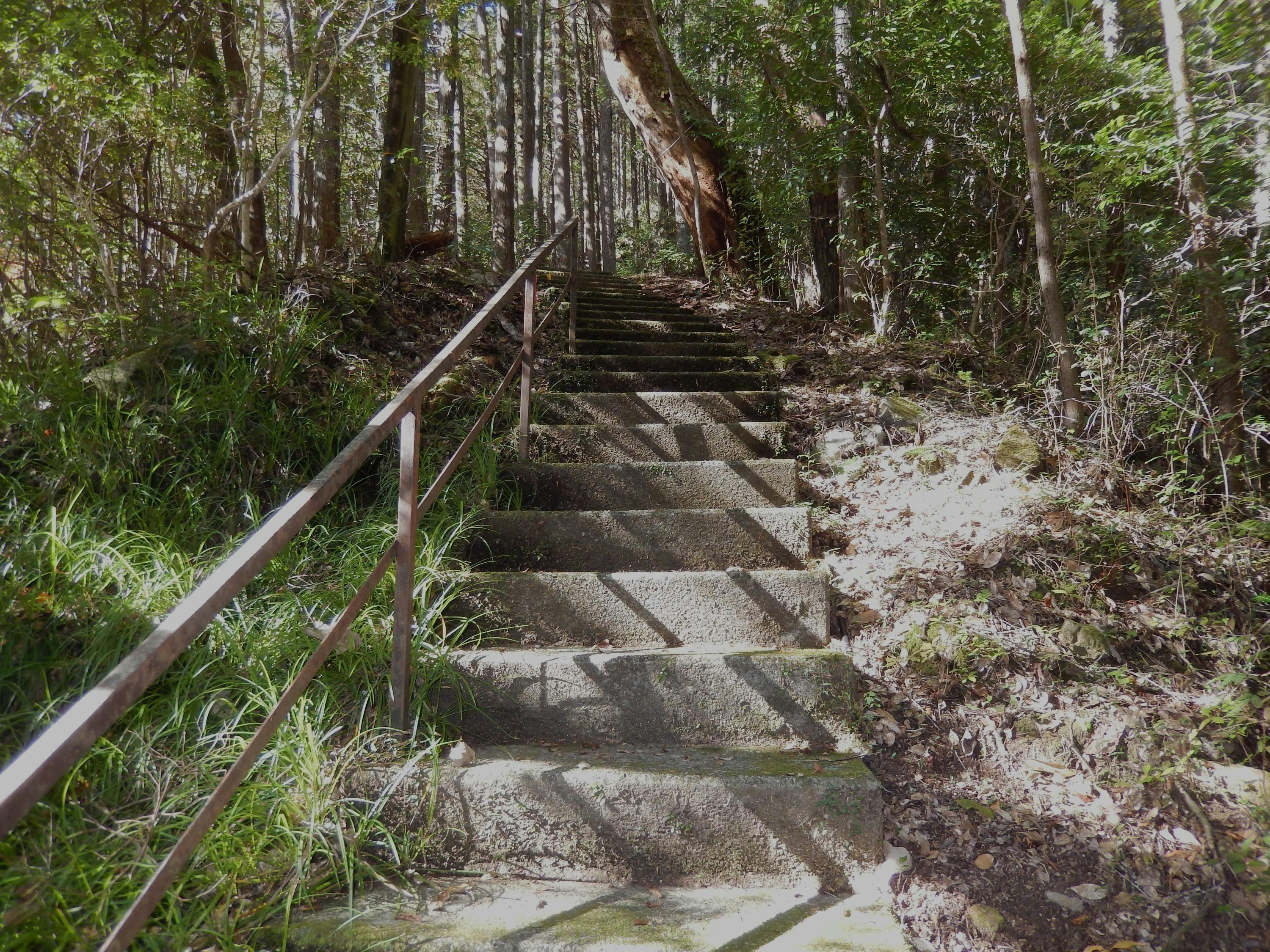 5番目のメイン画像