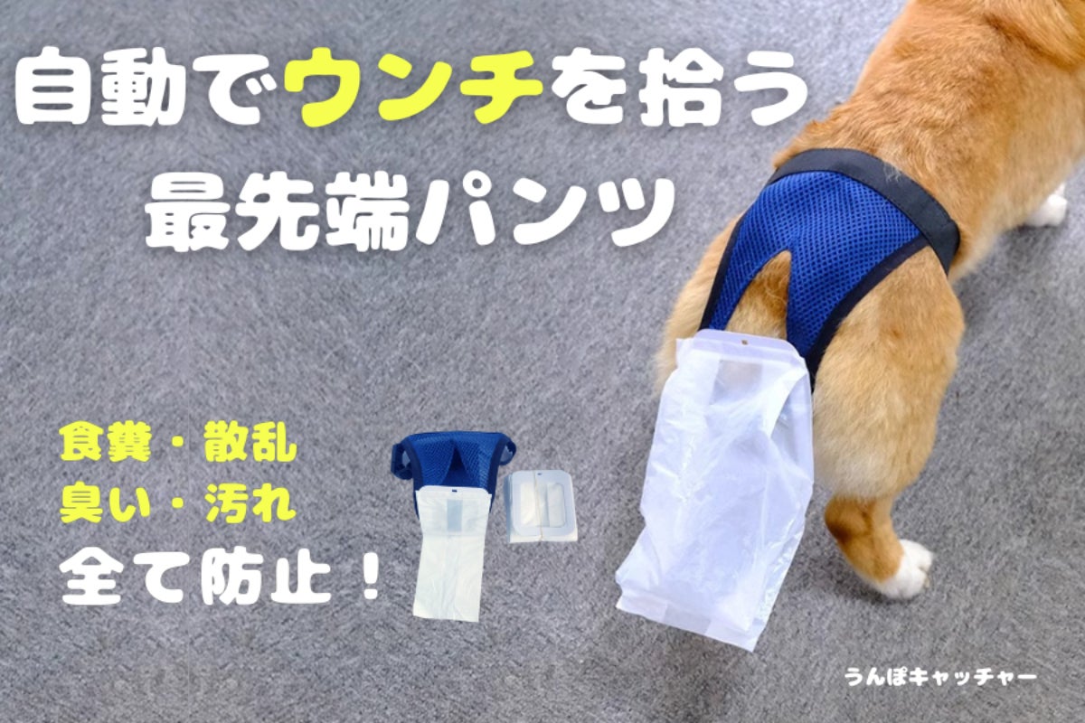 うんぽパンツ Sサイズ 55枚 うんぽパンツ Sサイズ 55枚