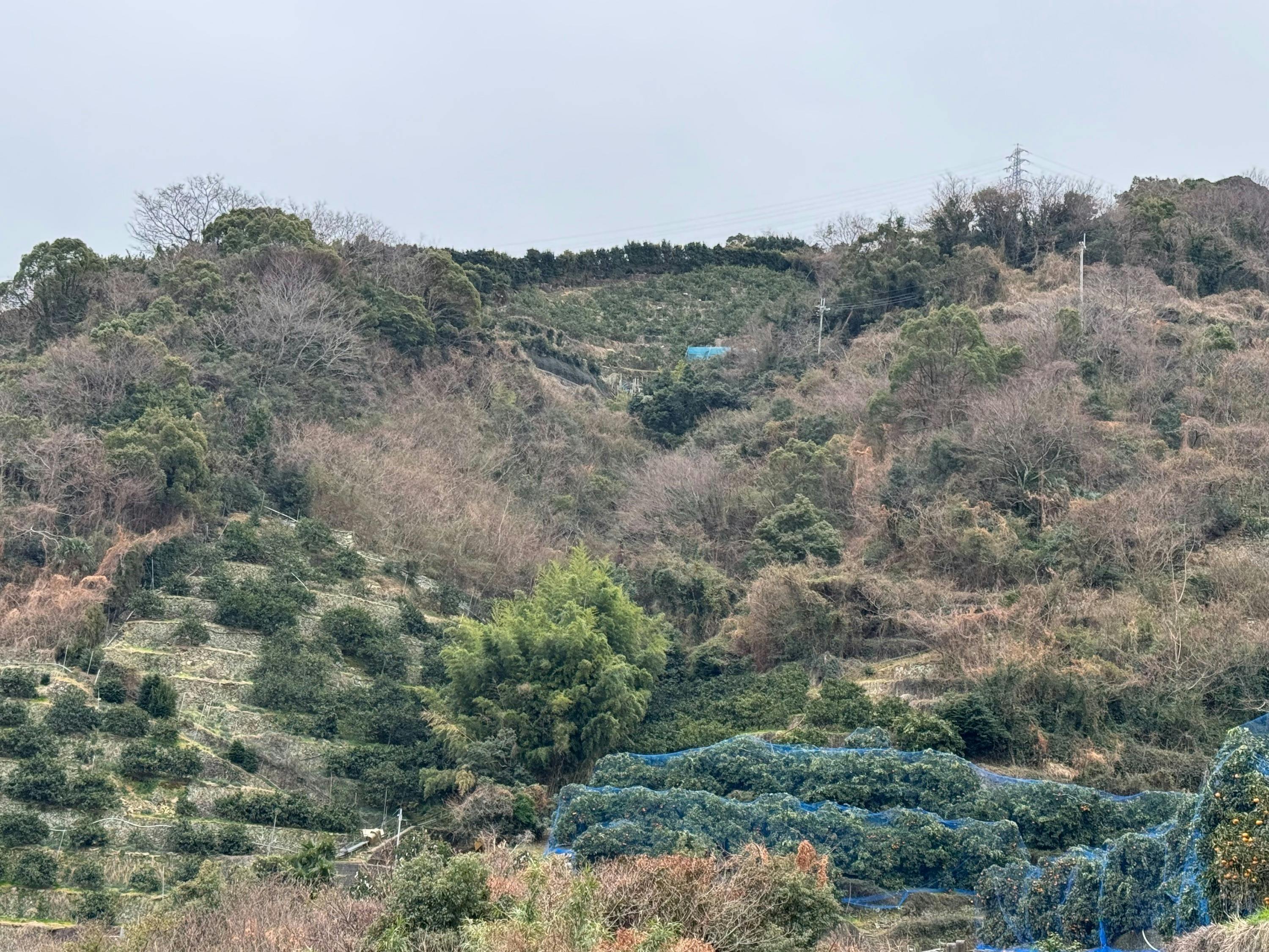 3番目のメイン画像