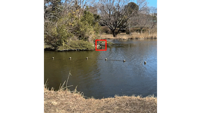 2番目のメイン画像