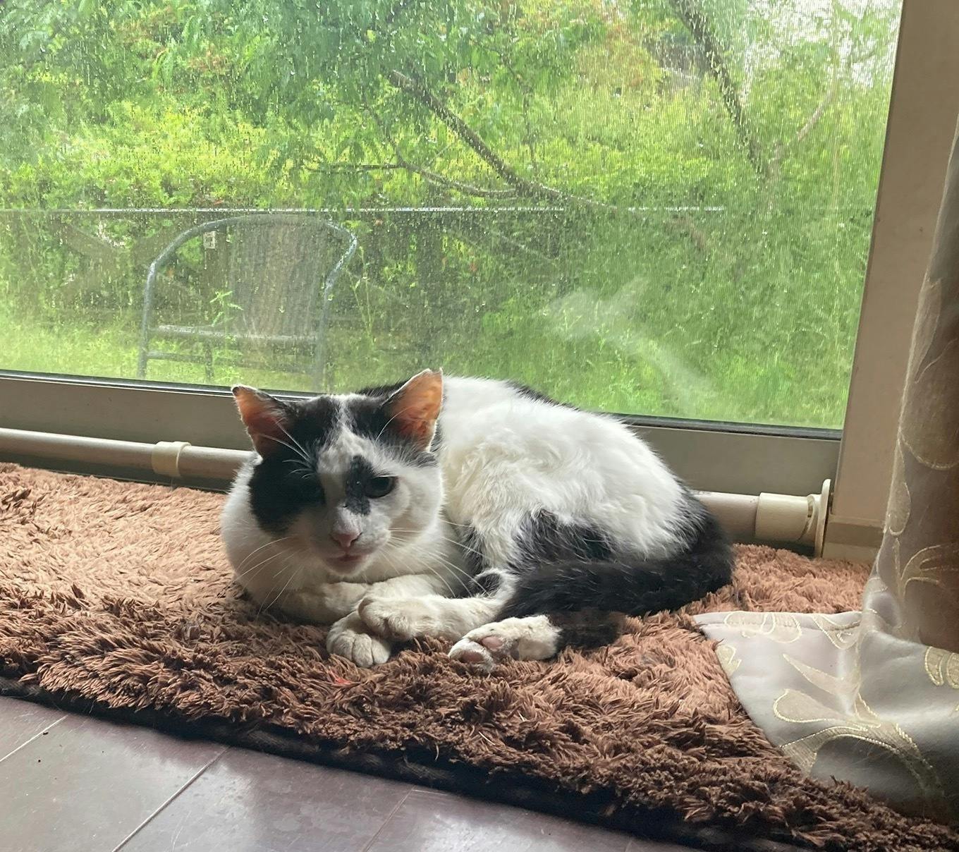 5番目のメイン画像