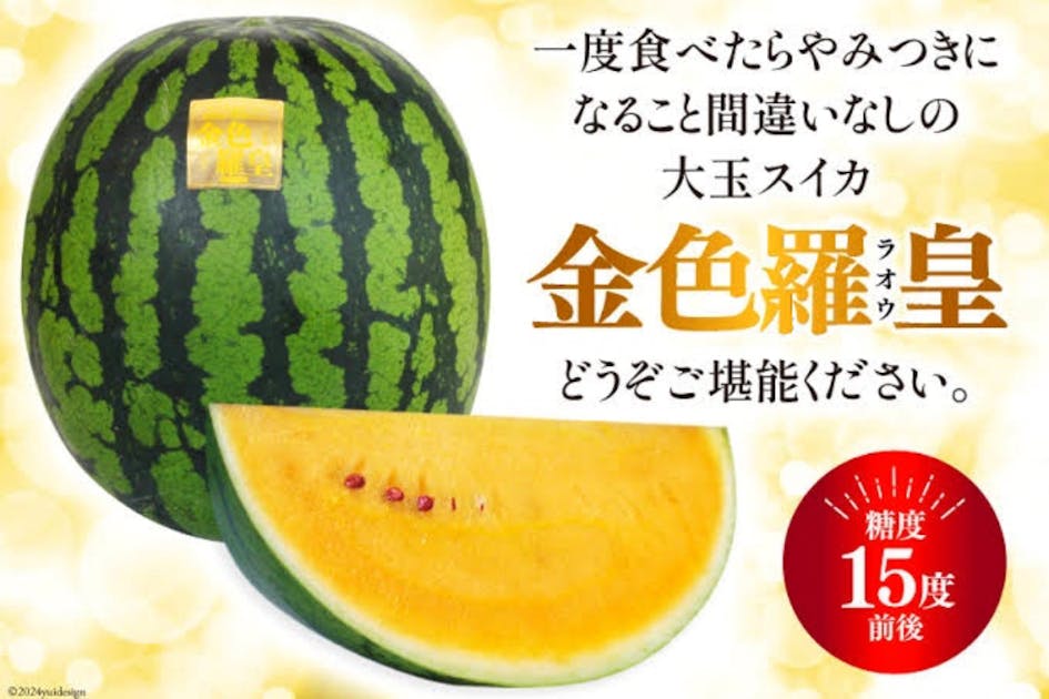 金色羅王スイカの美味しさを広めるためのスイカ畑拡大プロジェクト