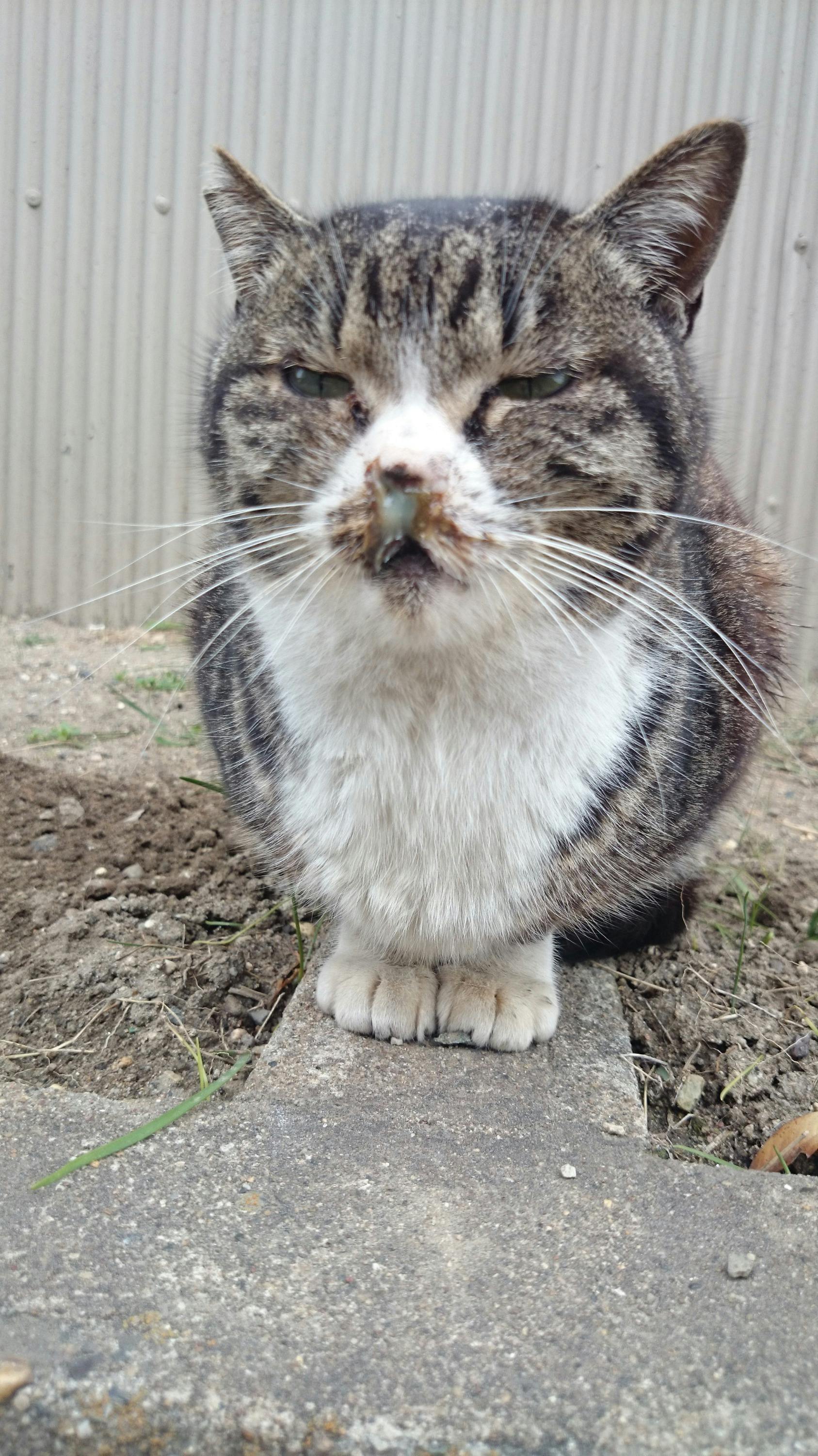 3番目のメイン画像