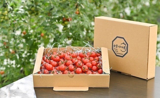 出雲の加田屋の甘くて美味しいフルーツトマトを全国の皆様に知って
