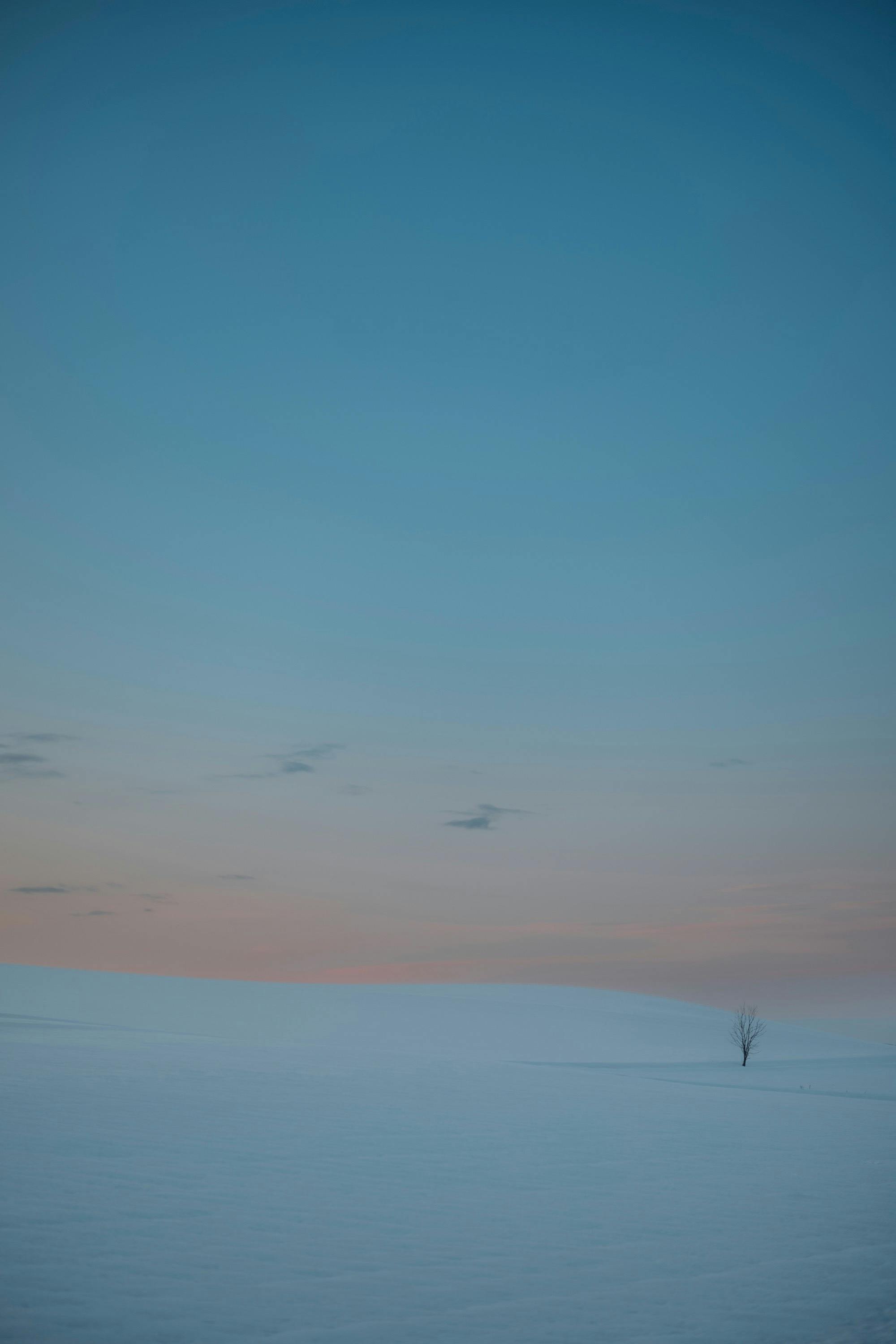 初の写真集・写真展「To the North（仮）」を成功させたい - CAMPFIRE