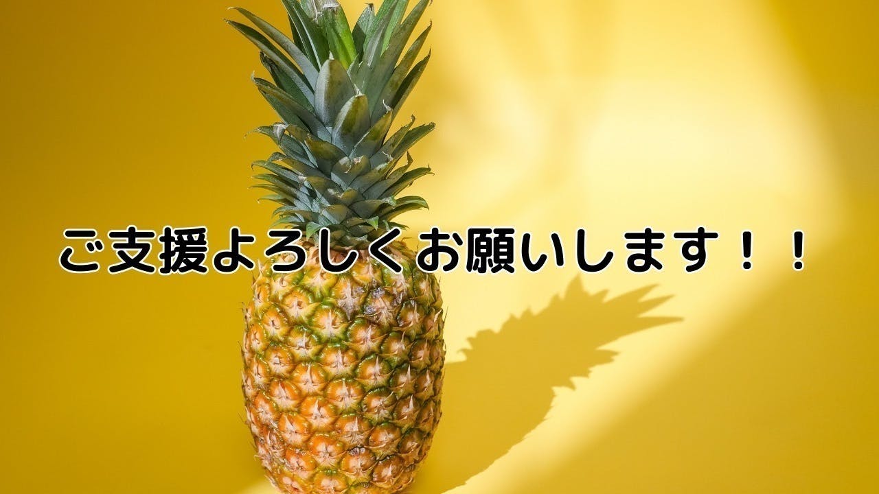 パイナップルの収穫から出る廃棄物を再利用して作るレザー - CAMPFIRE