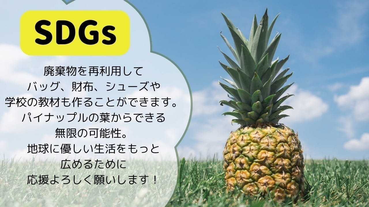 パイナップルの収穫から出る廃棄物を再利用して作るレザー - CAMPFIRE