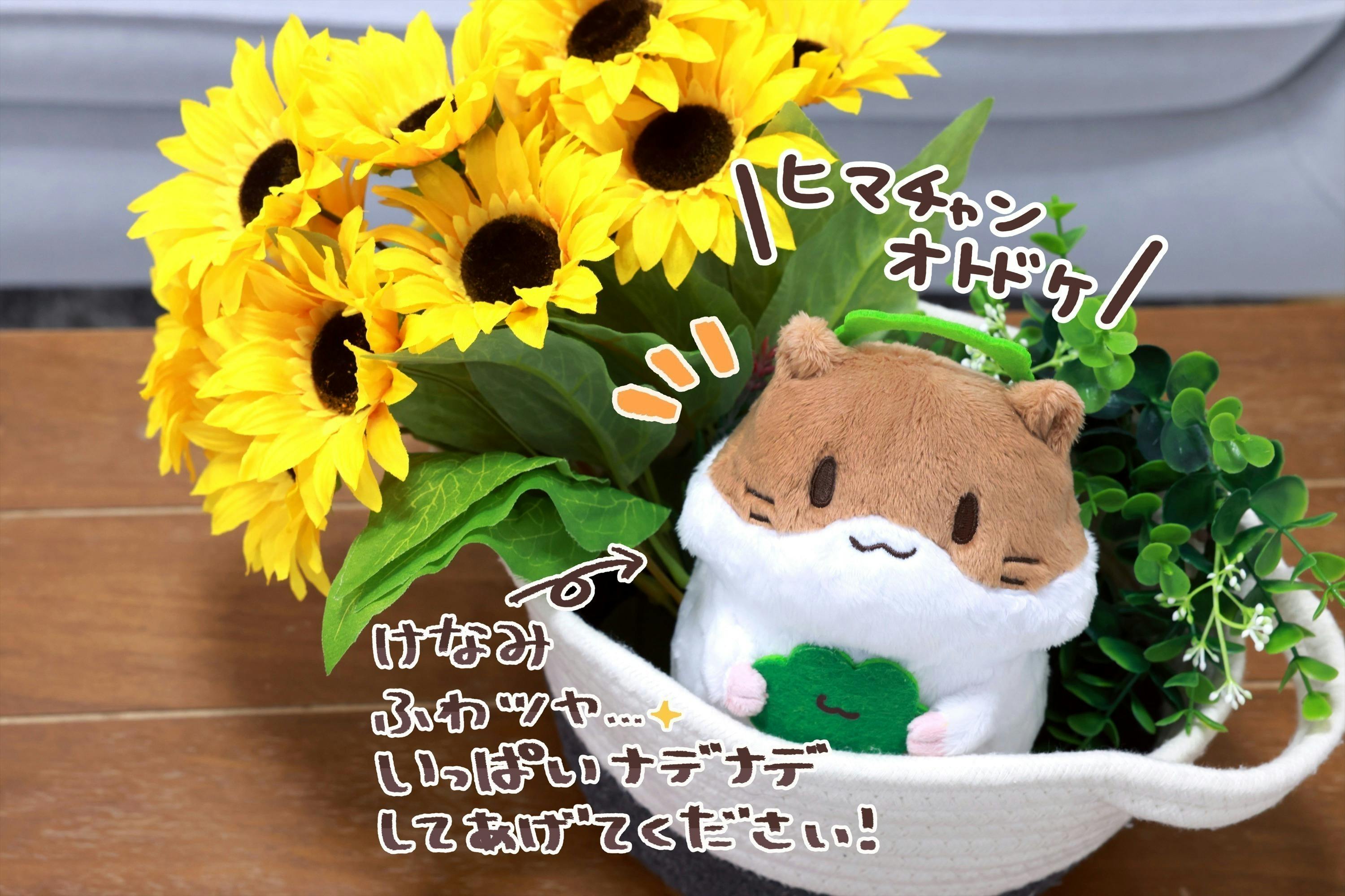 4番目のメイン画像