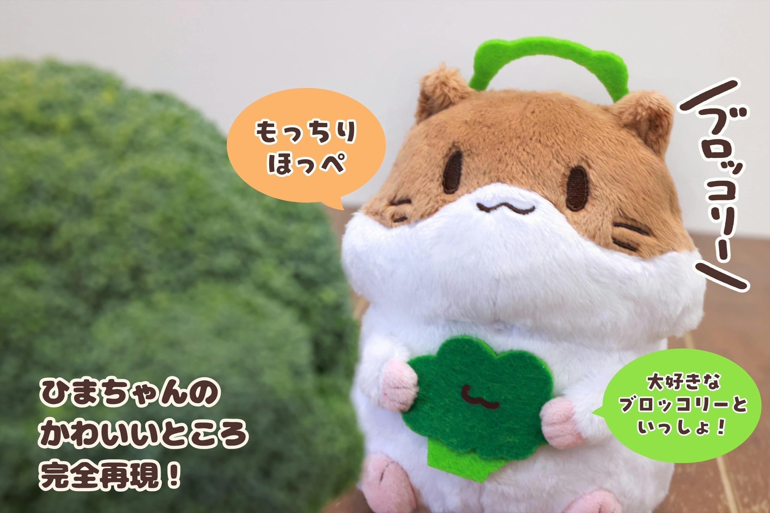 3番目のメイン画像