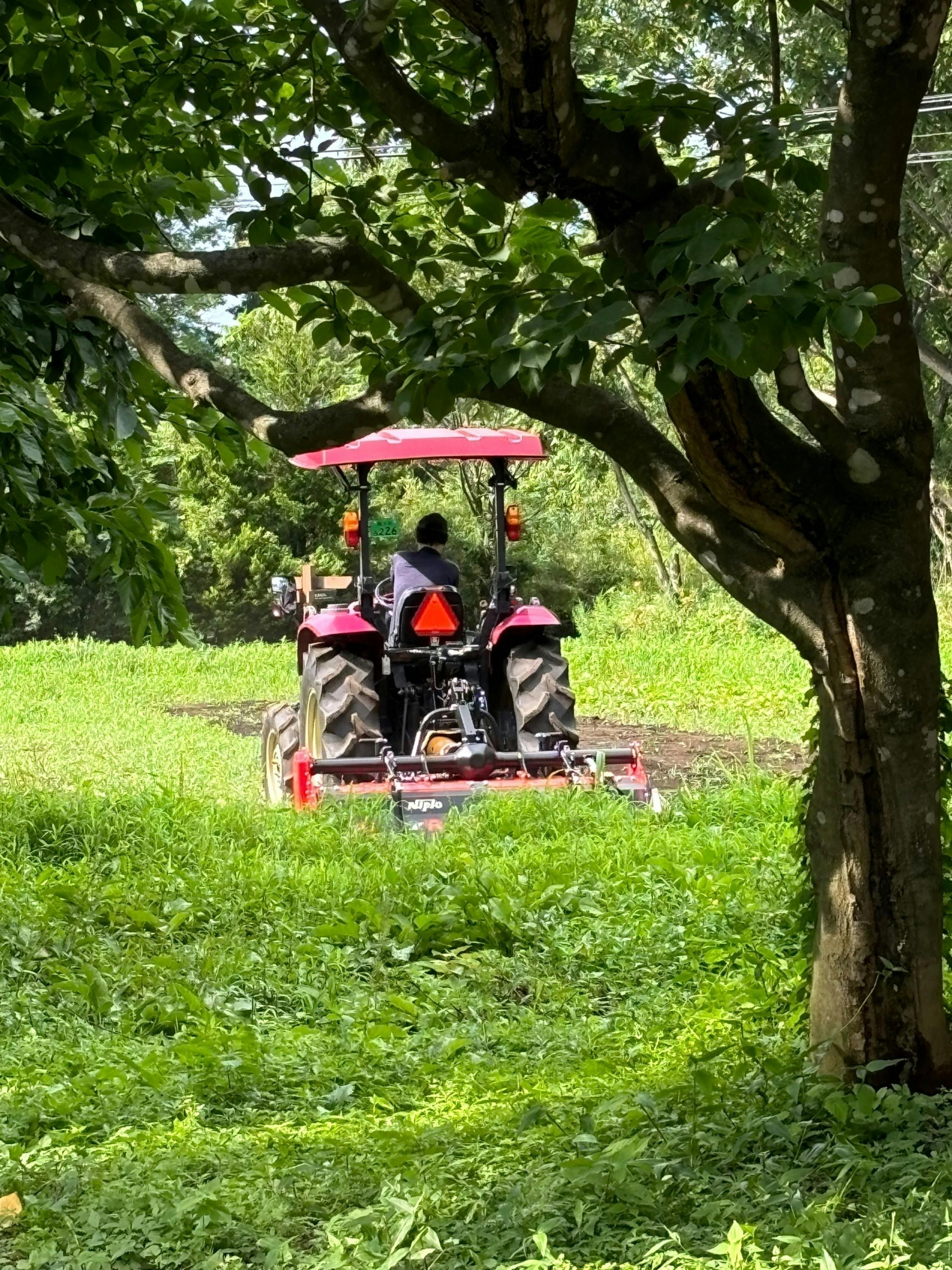 2番目のメイン画像