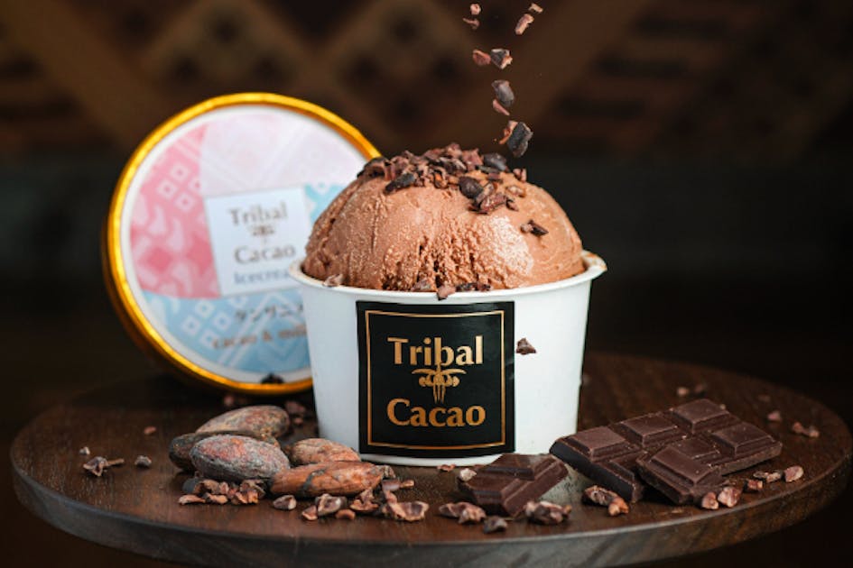 トライバルカカオの新商品を作りたい - CAMPFIRE (キャンプファイヤー)