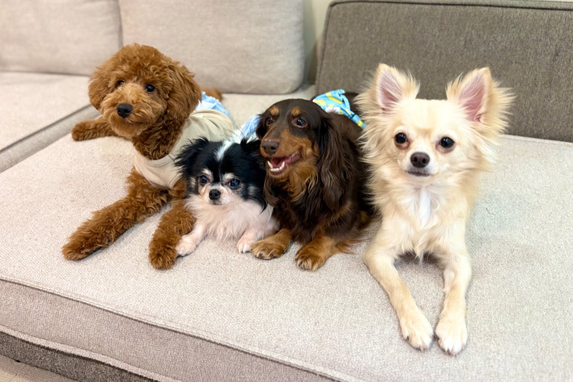 1番目のメイン画像