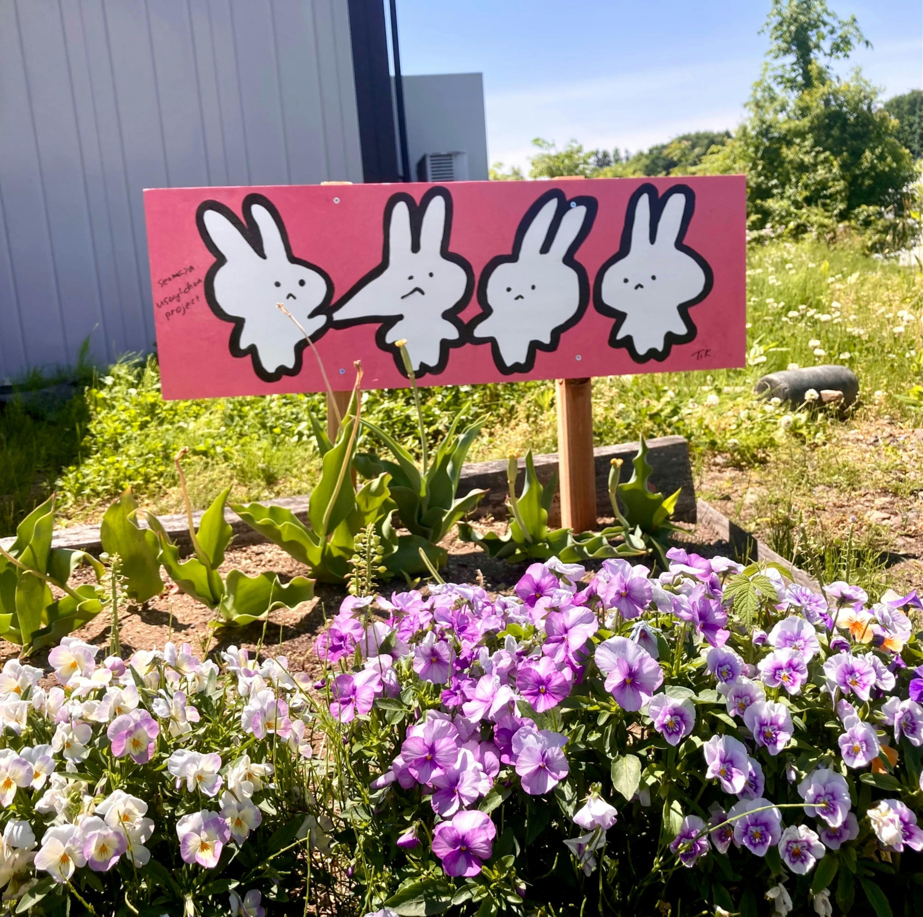 せんまやウサギちゃんフェスティバル開催にご支援を！ - CAMPFIRE