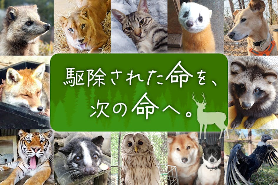 50c4f081-81da-4ece-930e-