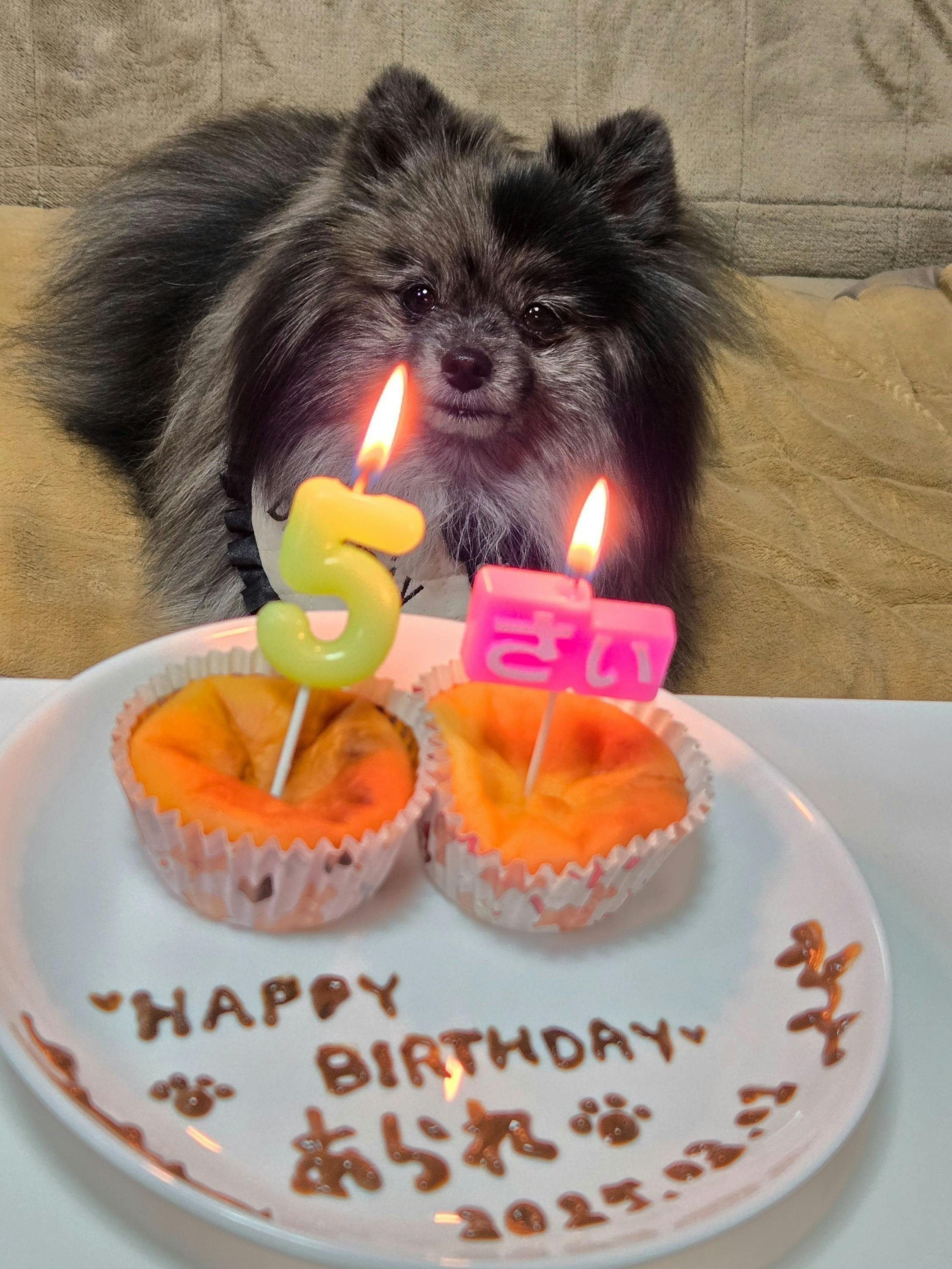 4番目のメイン画像