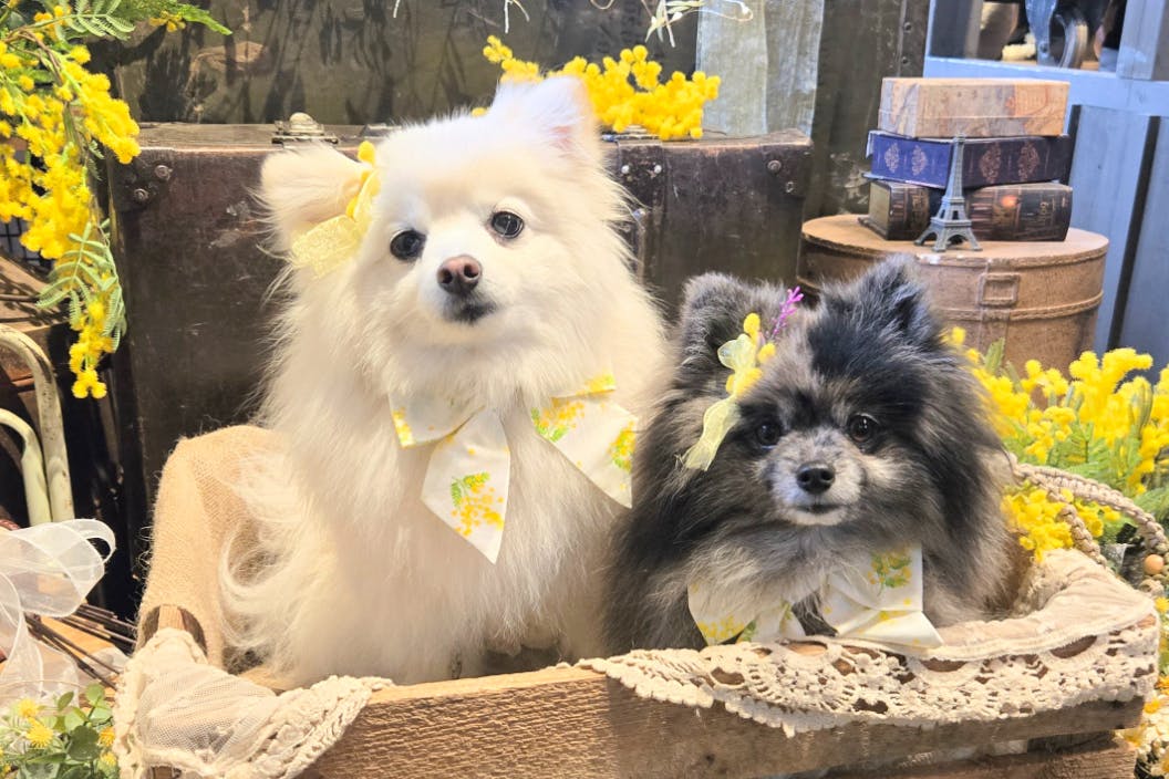 1番目のメイン画像