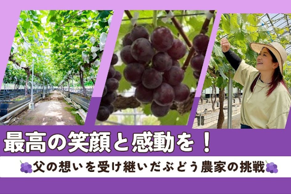 桃農家、葡萄農家 慈甘ぶどう】最高の笑顔と感動を！父の想いを受け継いだぶどう農家の