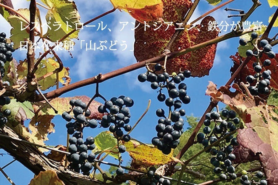 5番目のメイン画像