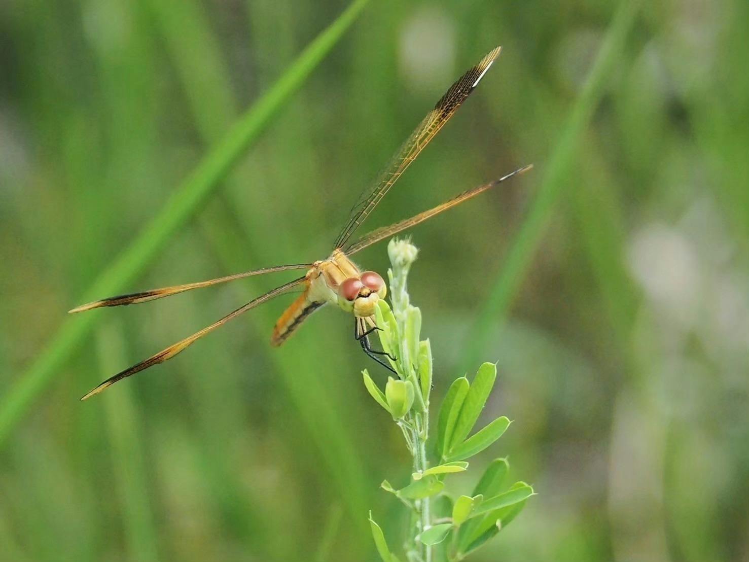 4番目のメイン画像