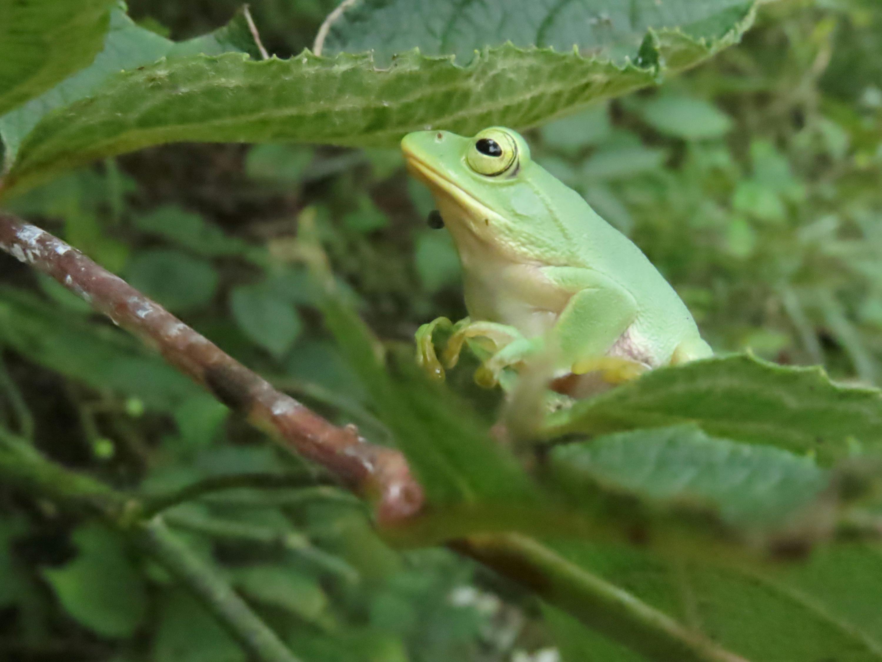 3番目のメイン画像