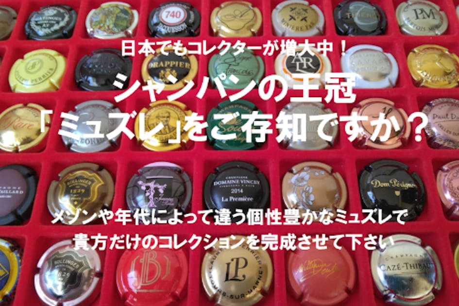 シャンパンの王冠をコレクションするミュズレボード192個入の製作をご