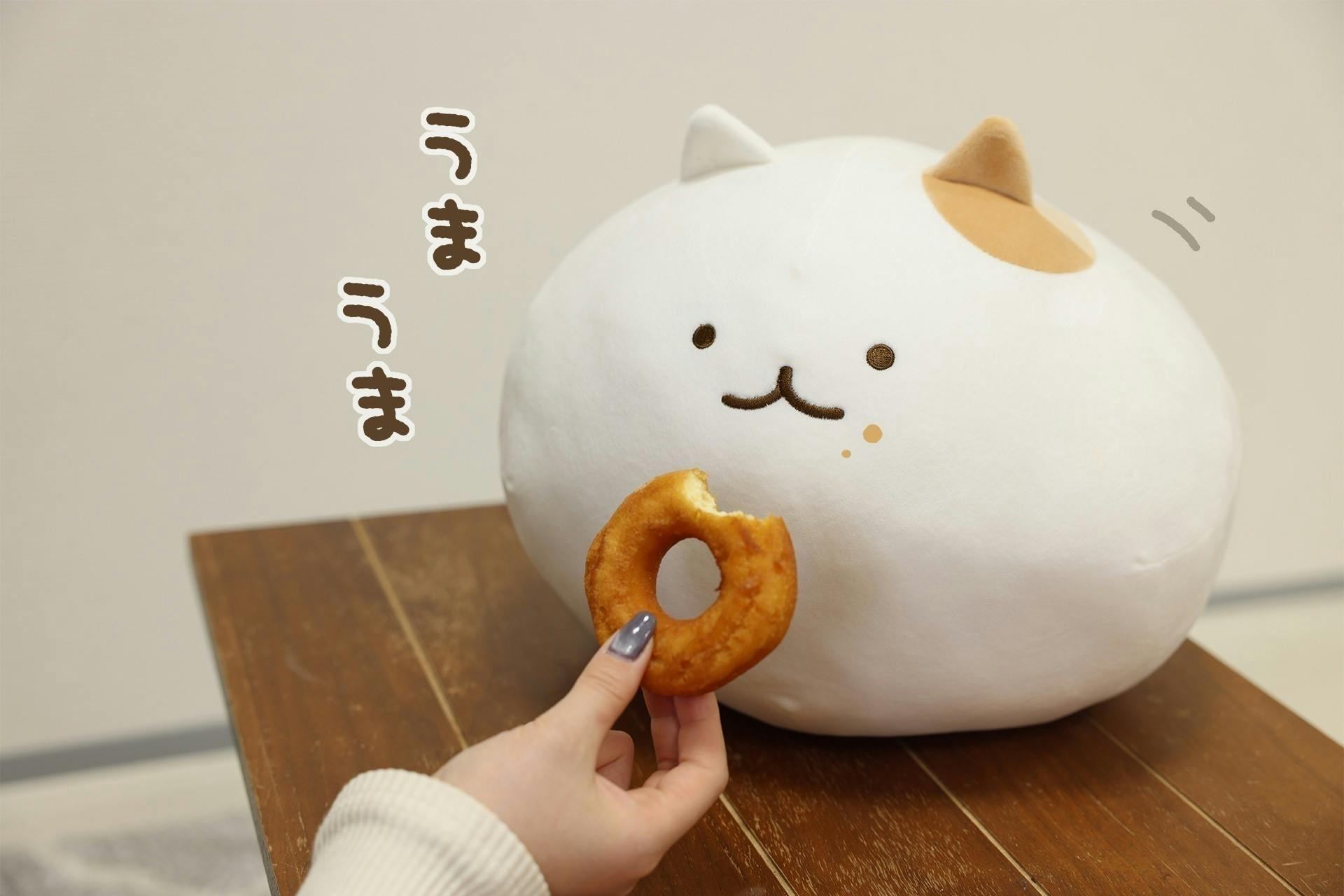 一緒におやつタイムでひと休み♪ねこのクッションプロジェクト