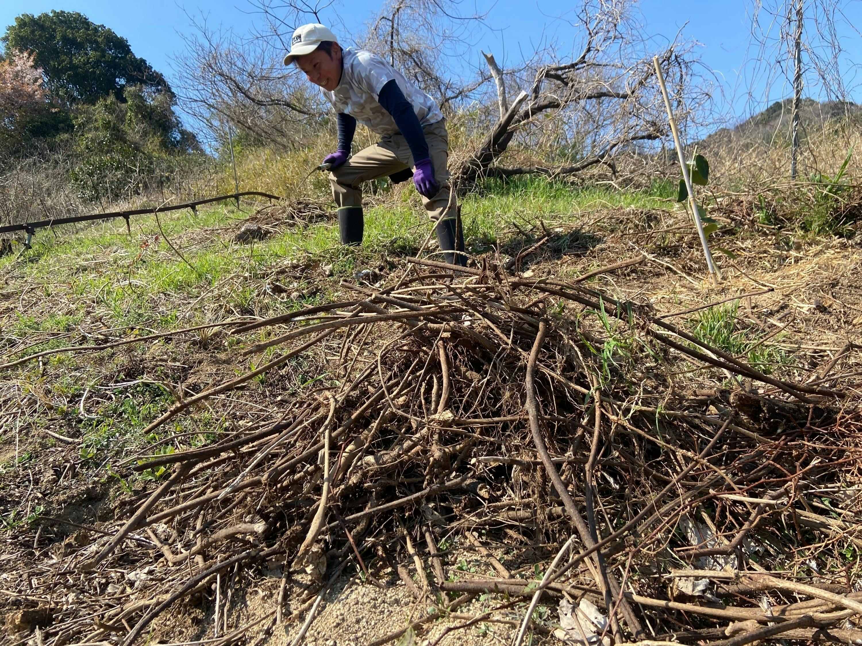 5番目のメイン画像