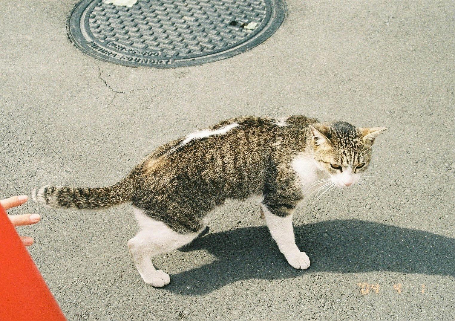 5番目のメイン画像