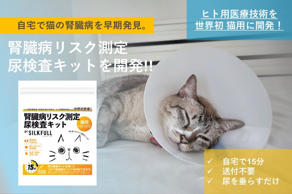 15分で腎臓リスク発見！世界初ヒト医療技術を〝猫〟に応用「自宅