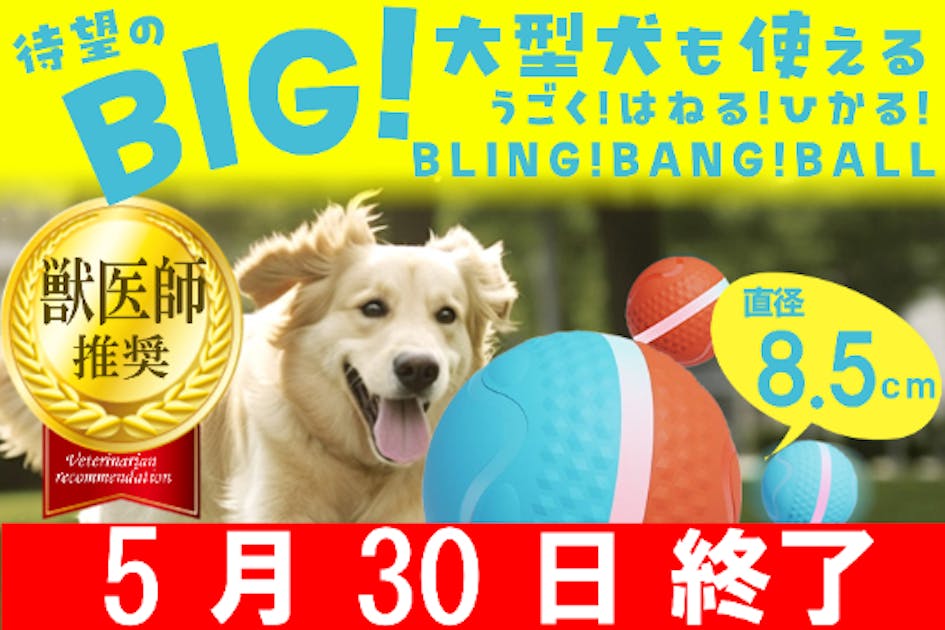 楽天市場】犬 猫 ペット用 勝手に動く面白動作 ブリンバンボール