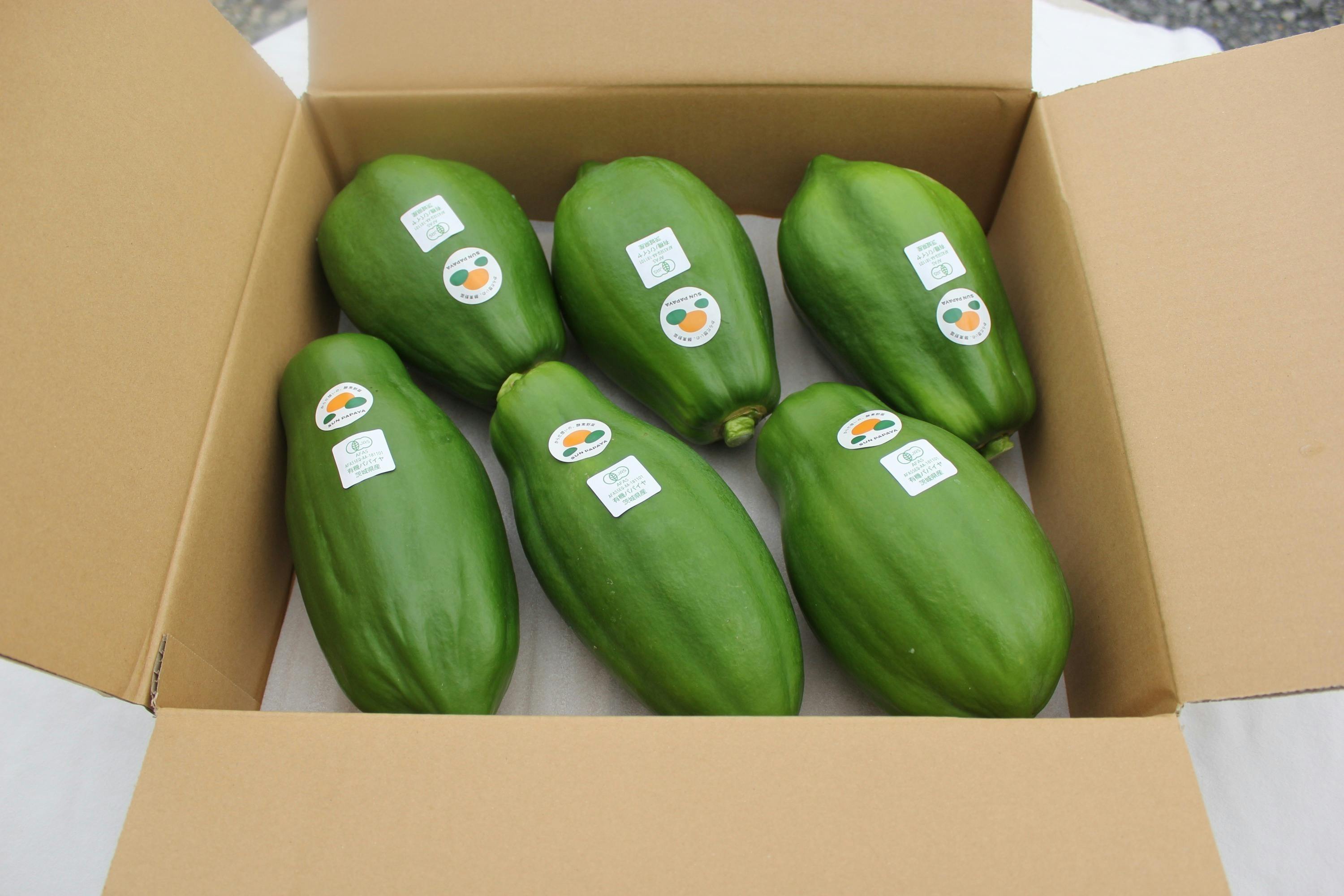 3番目のメイン画像