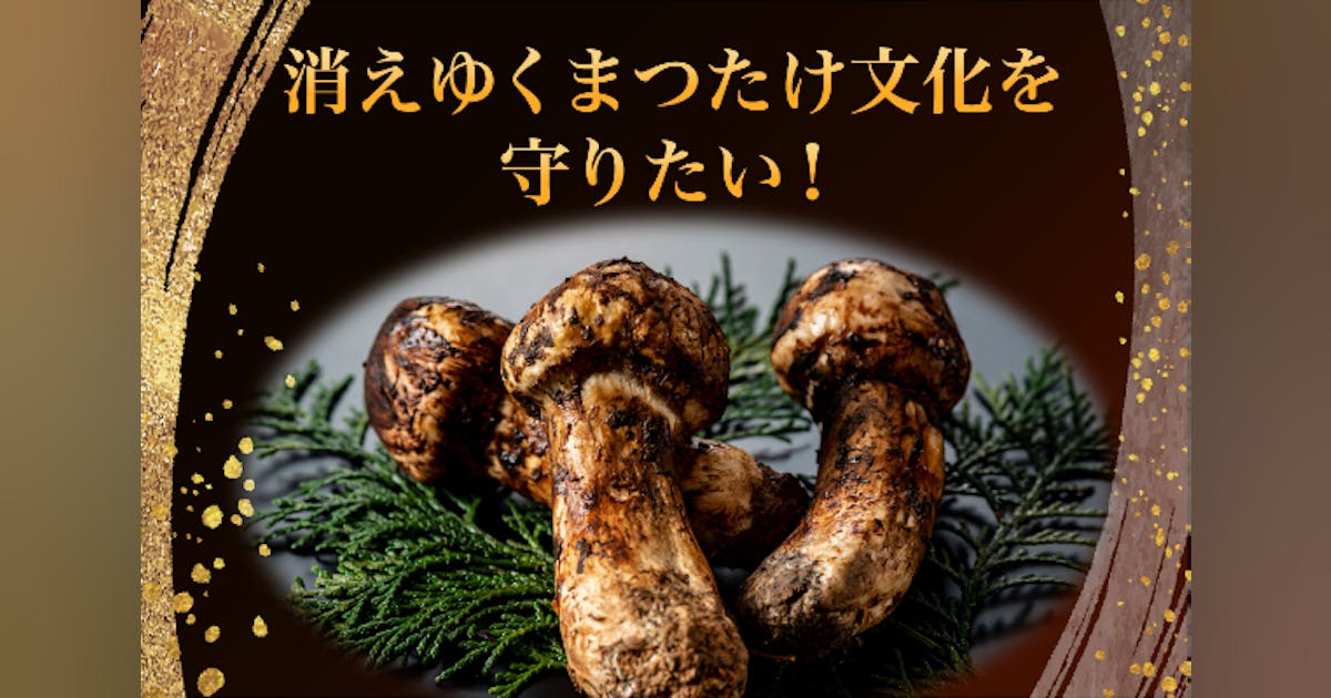78歳、松茸の文化を未来へつなぐために立ち上がりました 78歳、松茸の文化を未来へつなぐために立ち上がりました