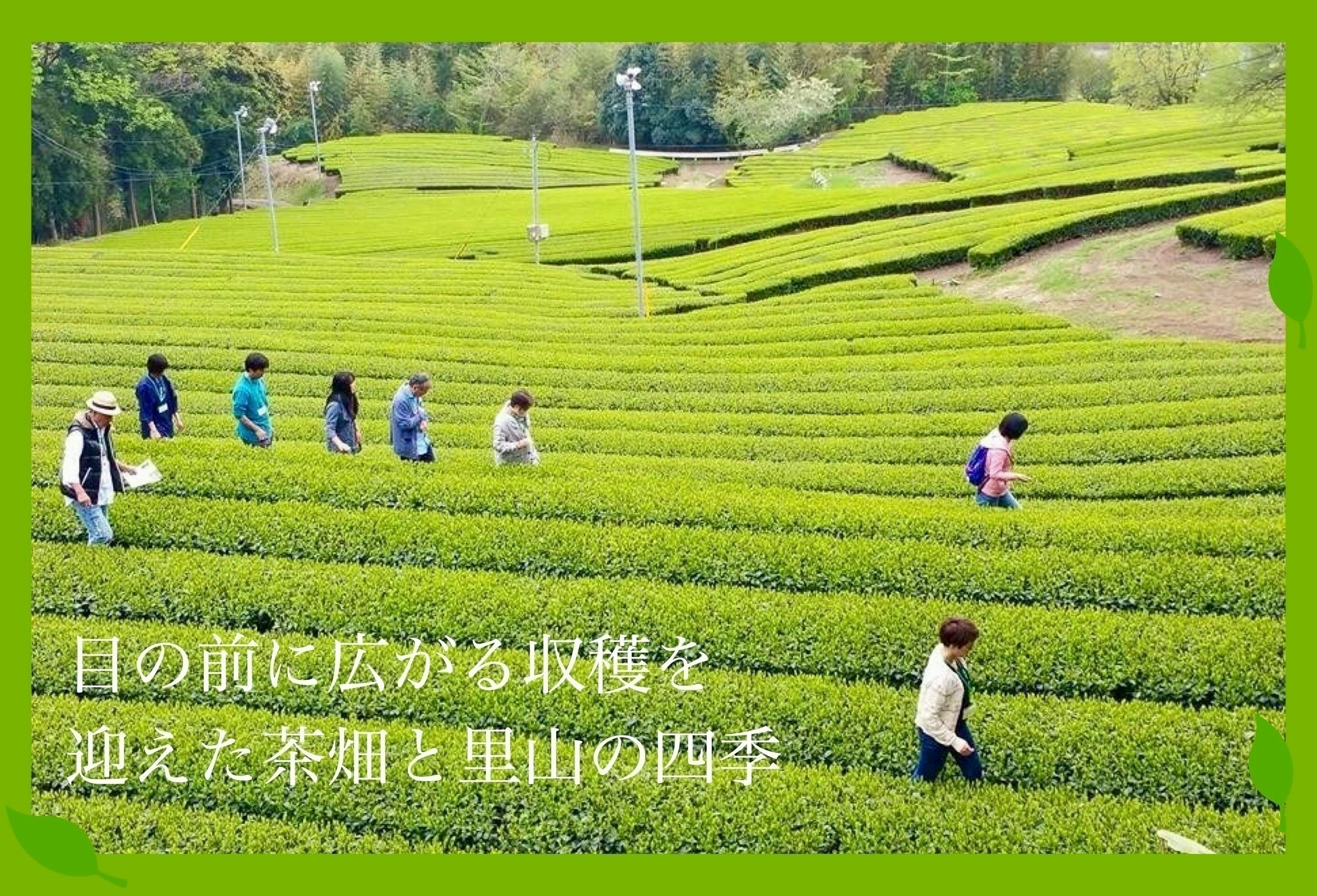 4番目のメイン画像