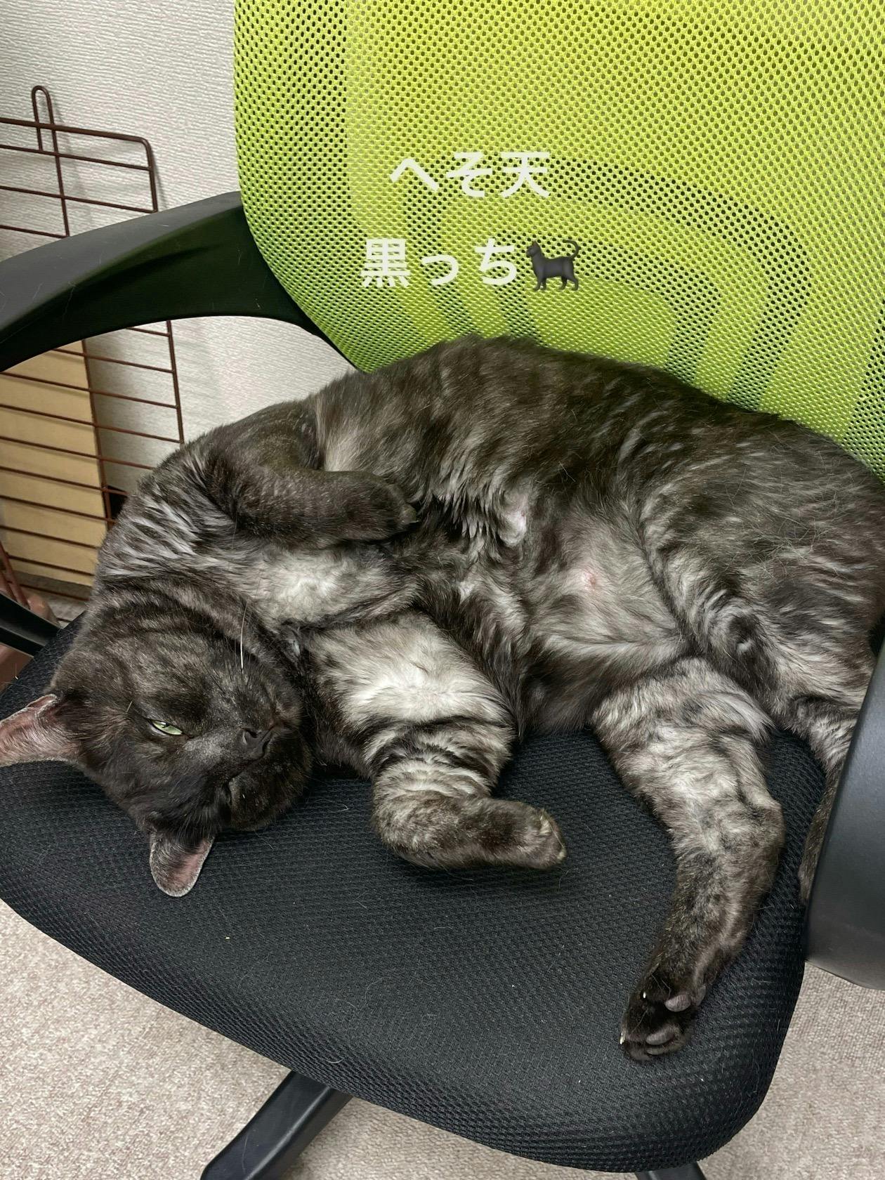 5番目のメイン画像