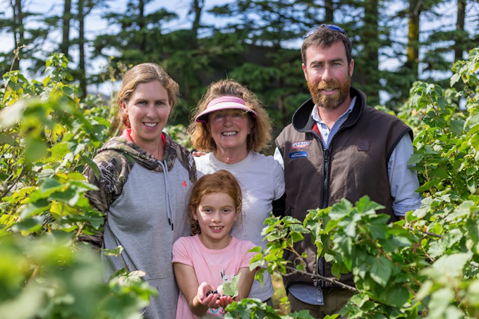 抗酸化力に優れたニュージーランド産のカシスを日本の健康市場で広め