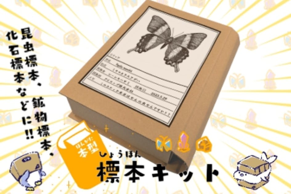 段ボール製【本型標本キット】で手軽に昆虫、化石、鉱物などの標本を作