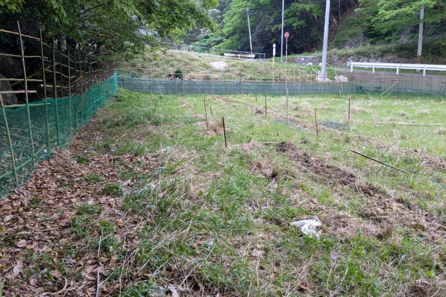 1番目のメイン画像