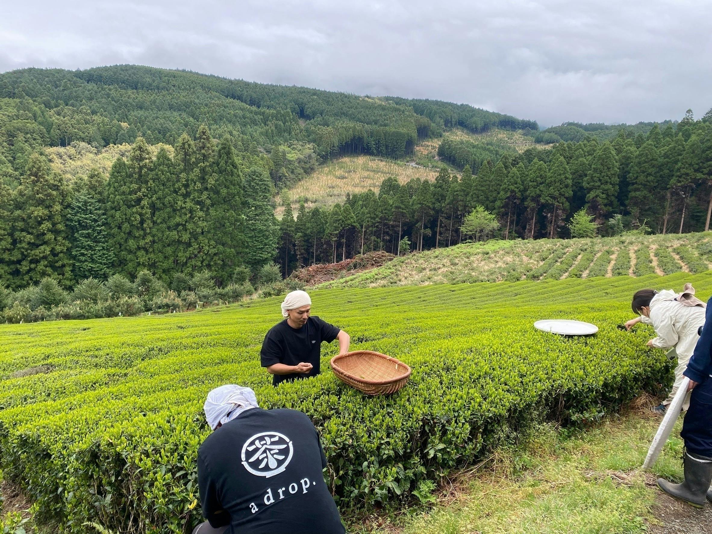 3番目のメイン画像