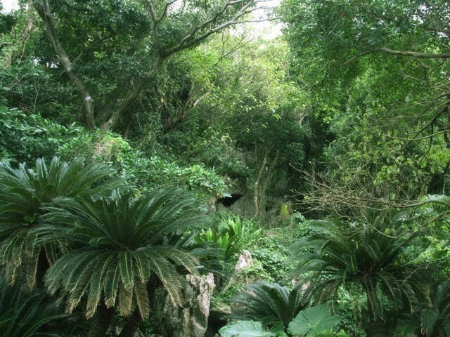 5番目のメイン画像