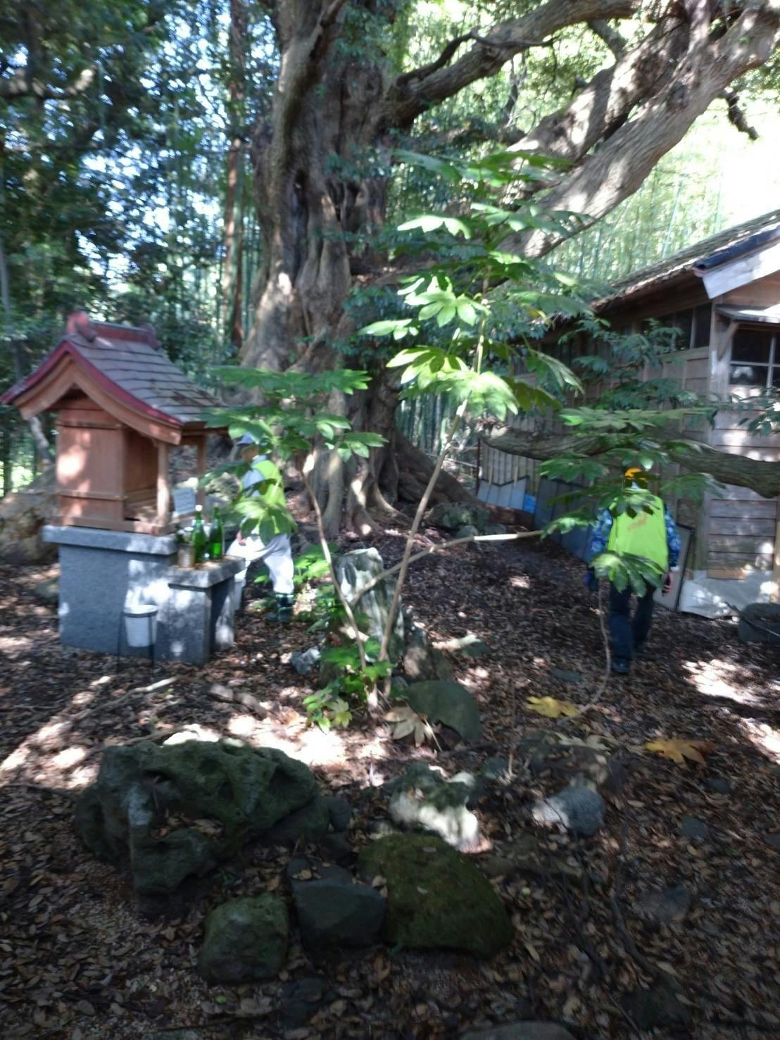 4番目のメイン画像