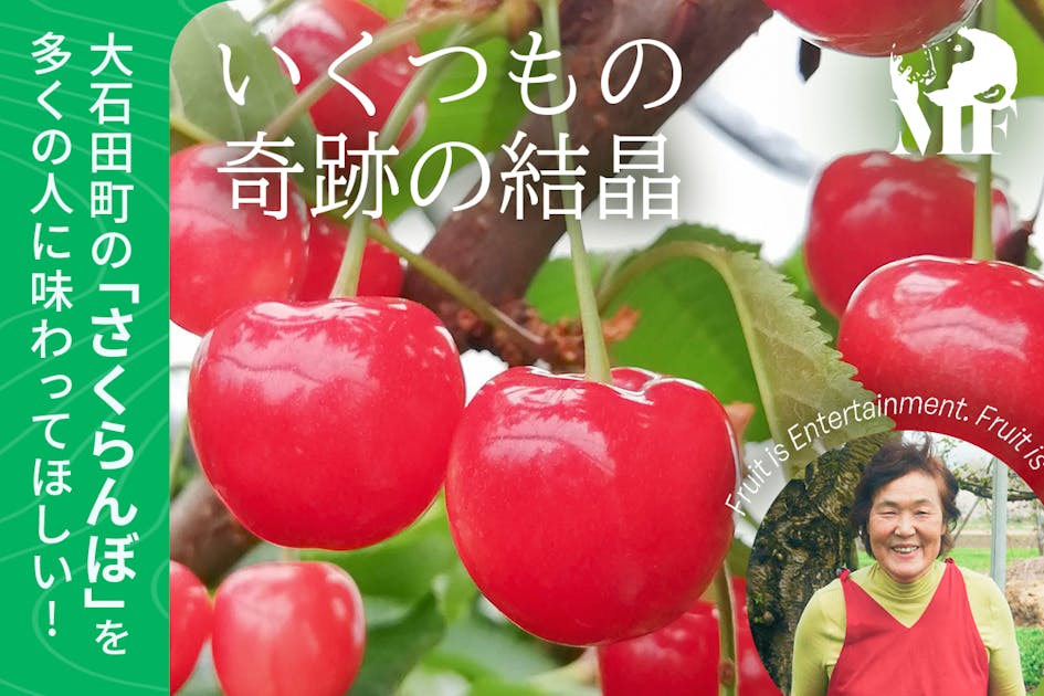 さくらんぼ 楽天市場】【訳あり】さくらんぼ 約1kg ( Sサイズ以上 ) 品種おまかせ