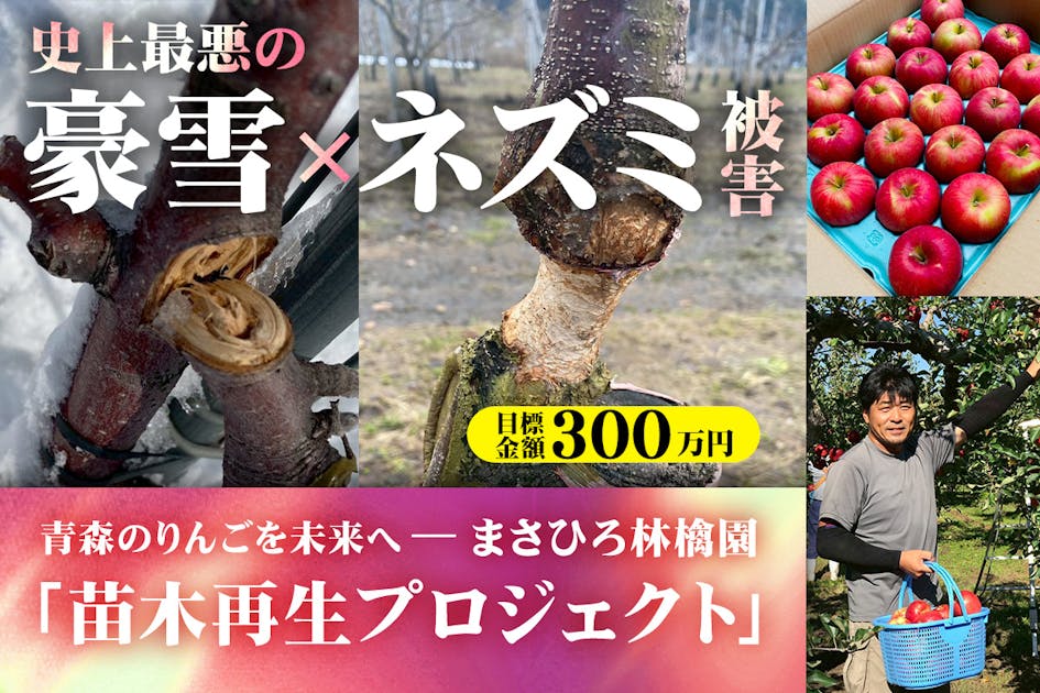 青森のりんごを未来へ──まさひろ林檎園「苗木再生プロジェクト
