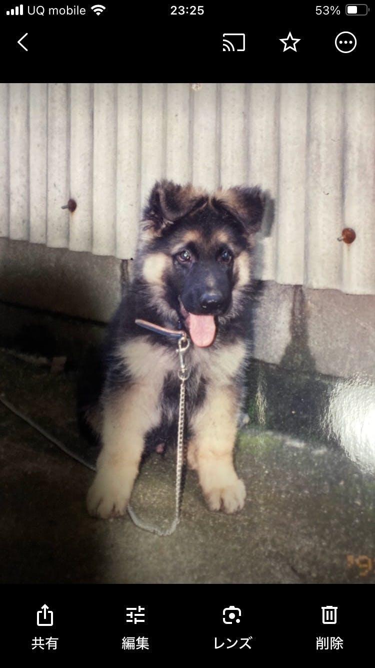 4番目のメイン画像