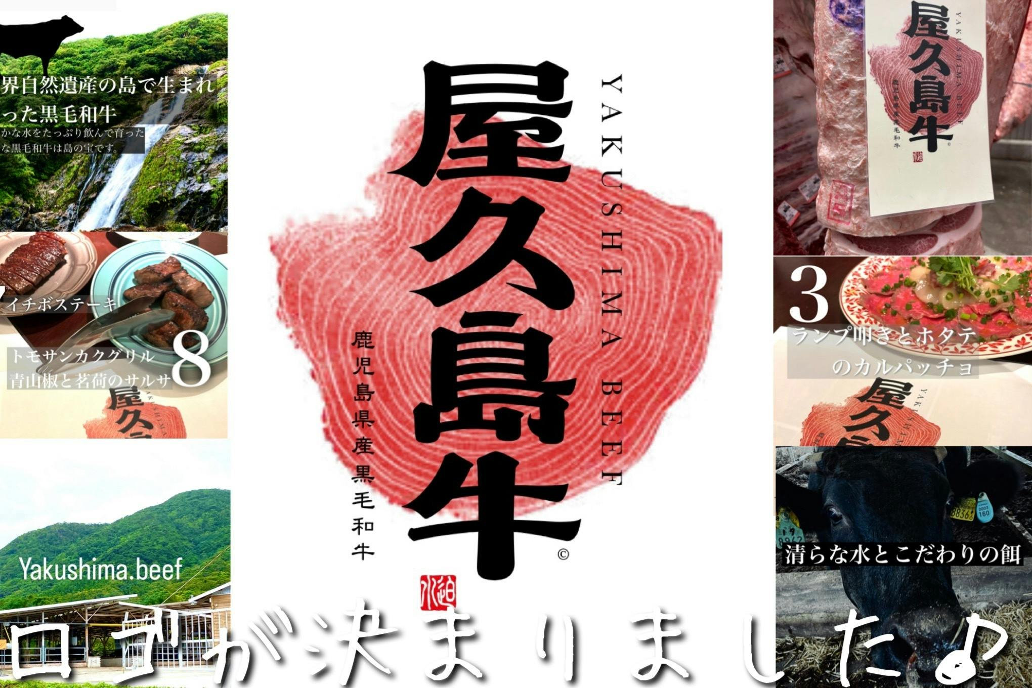 唯一無二の黒毛和牛「屋久島牛プロジェクト」〜世界自然遺産の味わいを