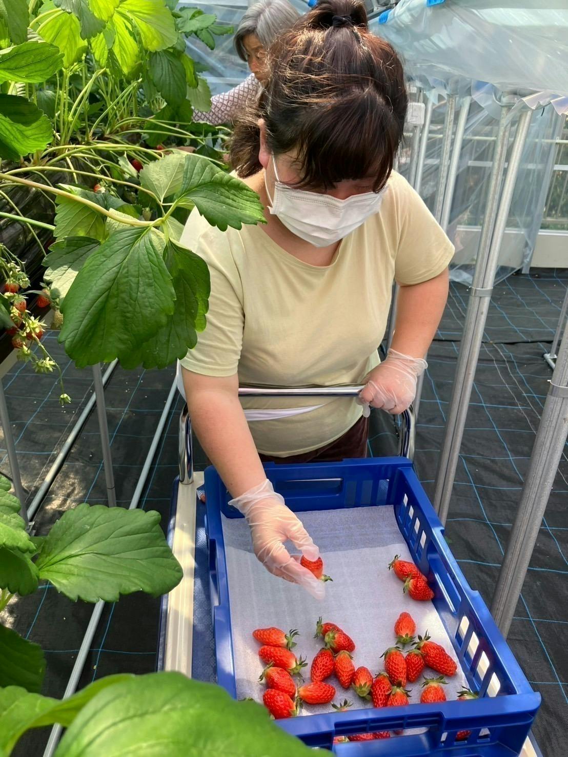 2番目のメイン画像