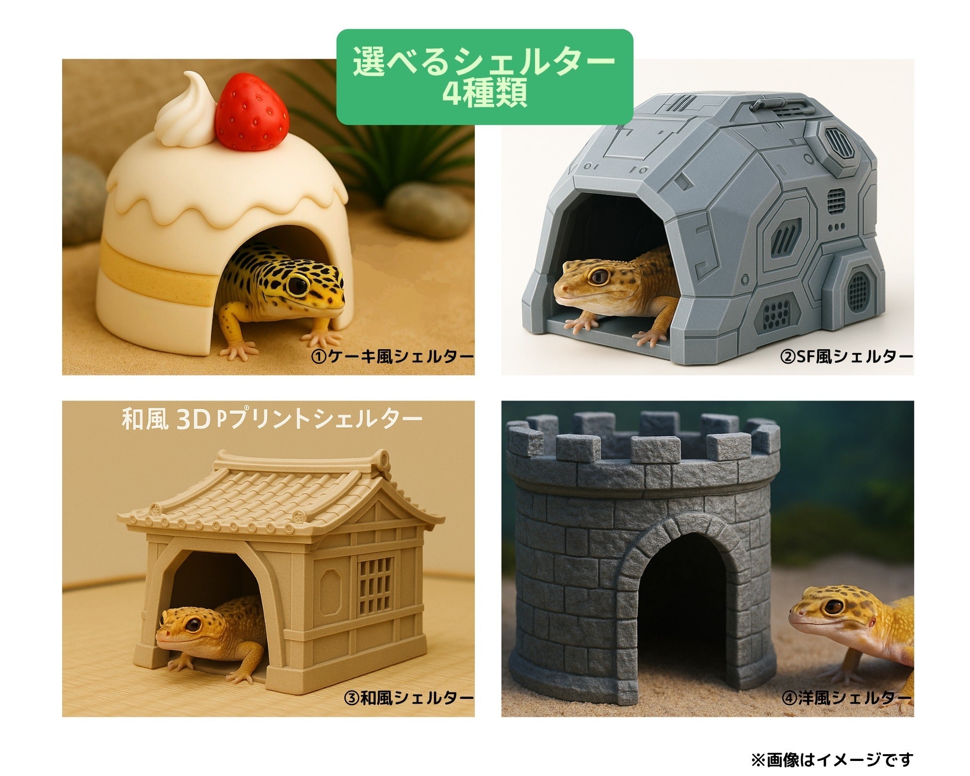 kanaria様 専用ページ】爬虫類シェルター3点 【公式通販】