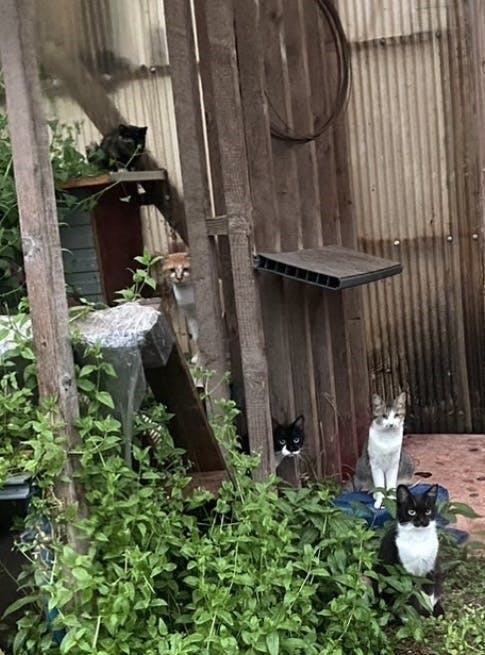 5番目のメイン画像