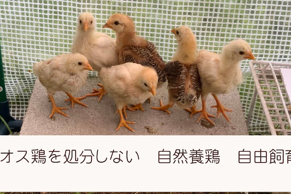 9b6d4ed7-28bf-4a5b-9929-