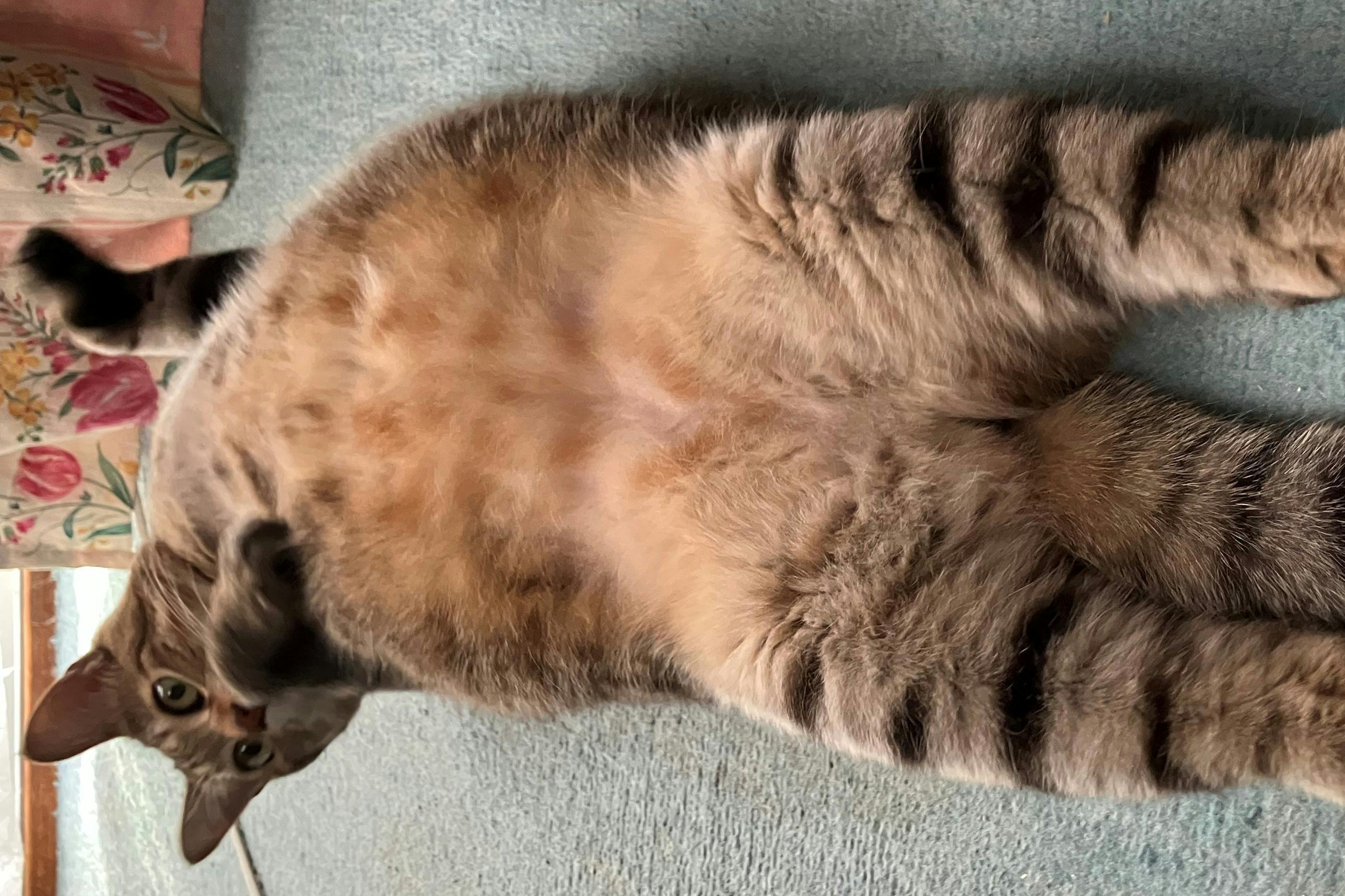 5番目のメイン画像