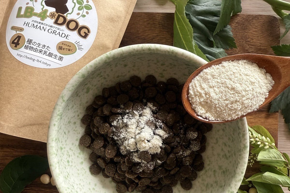 4番目のメイン画像